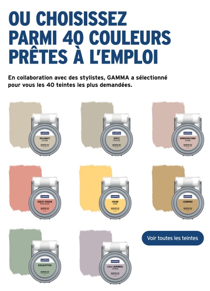 110
OU CHOISISSEZ
PARMI 40 COULEURS
PRÊTES À L'EMPLOI
En collaboration avec des stylistes, GAMMA a sélectionné
pour vous les 40 teintes les plus demandées.
Voir toutes les teintes
D