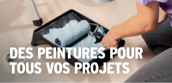 DES PEINTURES POUR
TOUS VOS PROJETS