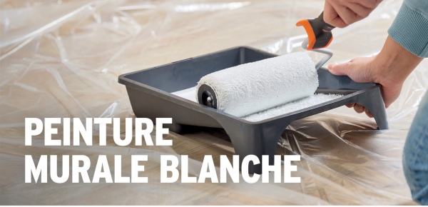 PEINTURE
MURALE BLANCHE
