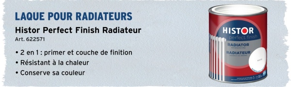 LAQUE POUR RADIATEURS
Histor Perfect Finish Radiateur
Art. 622571
•2 en 1: primer et couche de finition
⚫Résistant à la chaleur
• Conserve sa couleur
HISTOR
perfect finish
RADIATOR
RADIATEUR
