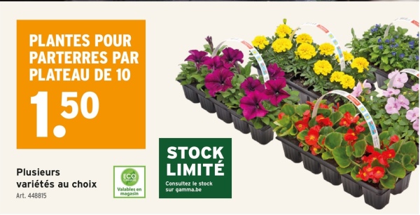 PLANTES POUR
PARTERRES PAR
PLATEAU DE 10
1,50
Plusieurs
variétés au choix
Art. 448815
Valables en
magasin
STOCK
LIMITÉ
Consultez le stock
sur gamma.be
