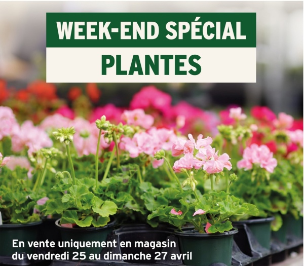 WEEK-END SPÉCIAL
PLANTES
En vente uniquement en magasin
du vendredi 25 au dimanche 27 avril