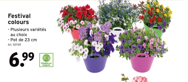 Festival
colours
- Plusieurs variétés
au choix
- Pot de 23 cm
Art. 507109
6.99
Valables en
magasin