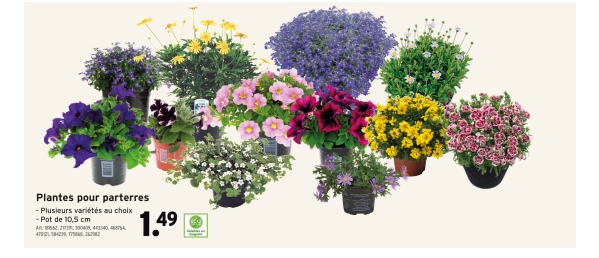 Plantes pour parterres
-Plusieurs variétés au choix
- Pot de 10,5 cm
Art. 18562212300404434
47821584239,1750
1.49