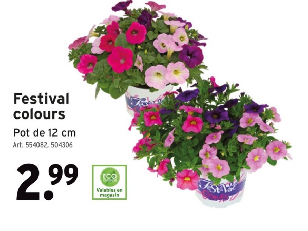 Festival
colours
Pot de 12 cm
Art. 554082, 504306
2.99
ECO
Valables en
magasin