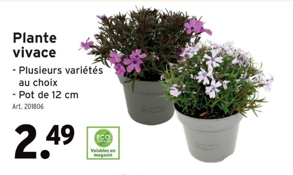 Plante
vivace
- Plusieurs variétés
au choix
- Pot de 12 cm
Art. 201806
2.49
ECO
Valables en
magasin