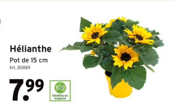 Hélianthe
Pot de 15 cm
Art. 265069
7.99
ECO
CHEQUES
Valables en
magasin