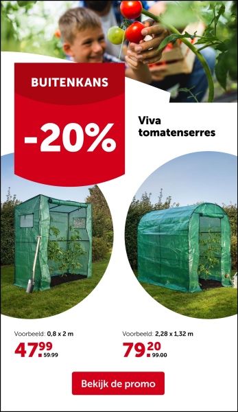 EEN ECHT
ZOMERGEVOEL
Een stralende zomer begint bij Xenos! Alles voor een
BBQ, tuinfeestje, stranddag of relaxmoment in je tuin
of op het balkon. Met sfeervolle verlichting, kleurrijk
servies en comfy ligstoelen maak je van elke zonnige
dag een feestje!
