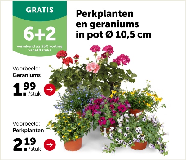 NIEUW!
Hugo
koken met kennis
By Gusta.
Maak kennis met Hugo Kennis!
Deze bekende tv-kok heeft een eigen
kooklijn ontwikkeld met prachtige
pannen, hoogwaardige koksmessen
en handige keukentools. Zo wordt
koken een plezier en tover jij de
heerlijkste maaltijden op tafel.
BEKIJK DE
VOLLEDIGE COLLECTIE
VAN HUGO KENNIS >
Hugo,
Hugo,