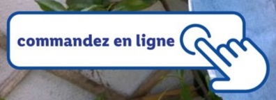 commandez en ligne