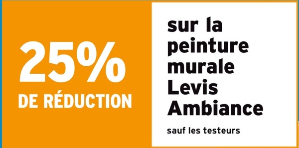 25%
DE RÉDUCTION
sur la
peinture
murale
Levis
Ambiance
sauf les testeurs