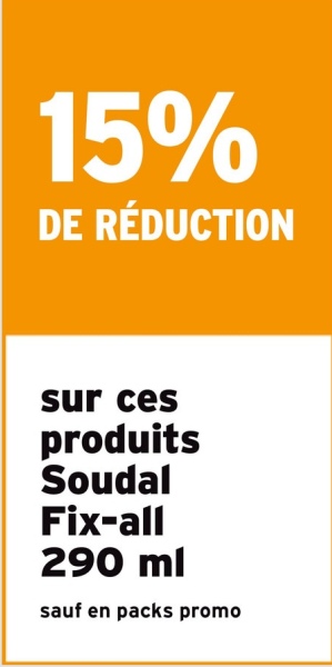 15%
DE RÉDUCTION
sur ces
produits
Soudal
Fix-all
290 ml
sauf en packs promo