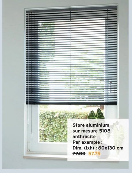 Store aluminium
sur mesure 5108
anthracite
Par exemple :
Dim. (lxh): 60x130 cm
77.00 57.75