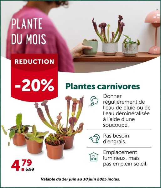 PLANTE
DU MOIS
REDUCTION
-20% Plantes carnivores
479
5.99
Donner
régulièrement de
l'eau de pluie ou de
l'eau déminéralisée
à l'aide d'une
soucoupe.
Pas besoin
d'engrais.
Emplacement
lumineux, mais
pas en plein soleil.
Valable du 1er juin au 30 juin 2025 inclus.