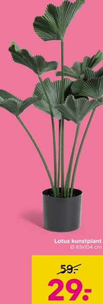 Lotus kunstplant
083x104 cm
59:
29:
