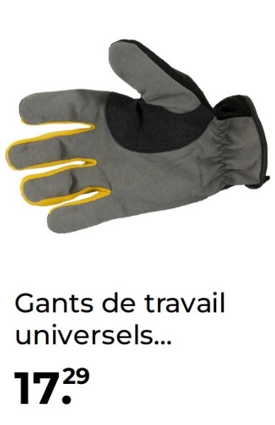 Gants de travail
universels...
1729