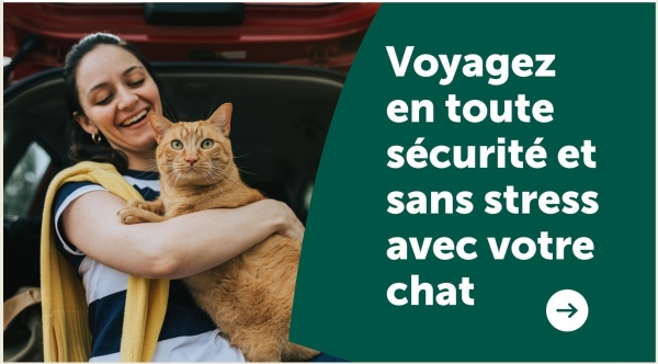Voyagez
en toute
sécurité et
sans stress
avec votre
chat
↑