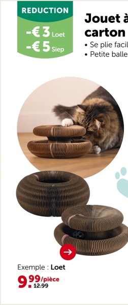 REDUCTION
-€3 Loet
-€5 Siep
Exemple: Loet
999/pièce
12.99
Jouet à
carton
⚫Se plie facil
• Petite balle
