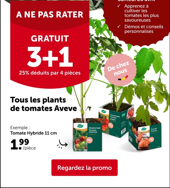 PROMO