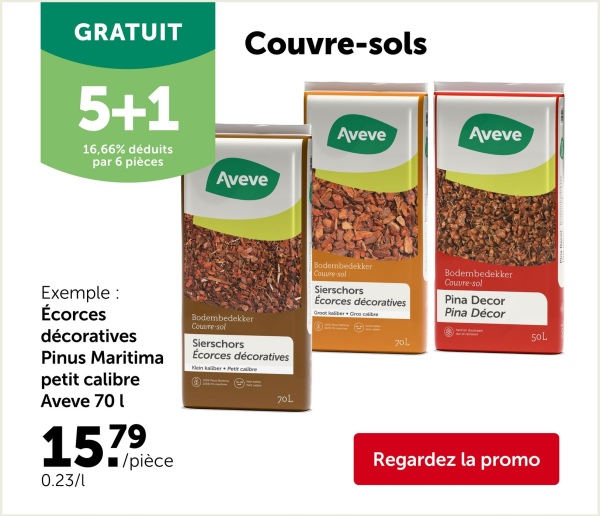 1+1
GRATUIT
Chène gris
rainures
4V
Stratifié Signature extra large 4V
- Épaisseur 8 mm
-Dim.: 138x24,4 cm (2,69 m²/emb.)
- Planches ultra larges pour donner un sentiment d'espace
*Articles combinables entre eux, 50% de réduction
à l'achat de 2 emballages.
Art. 585378, 557200, 551208
Chine blanc
Chêne beige
À l'achat de
2 emballages, le m²
19.99
9.99
Par 2 emballages 53.76