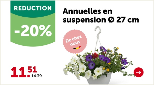 fleurella
IN-ONE
AZON
meststof met
werking tegen mos
gazon à action
e contre la mousse
JUSQU'À 200 M³
Par exemple :
Engrais pour gazon
Substral All-in-
One 75 m²
25.99
20.79 0.28/m²
Art. 144180
SUBSTRAL
GAZON
All-in-One
75 m