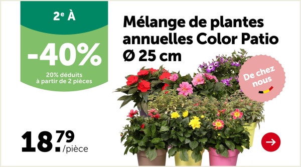 ENTRETENIR LE GAZON
Tondre, c'est un travail hebdomadaire. Ne sous-estimez pas l'importance d'une tonte
régulière, mais pensez aussi à bien entretenir votre jardin tout au long de l'année !