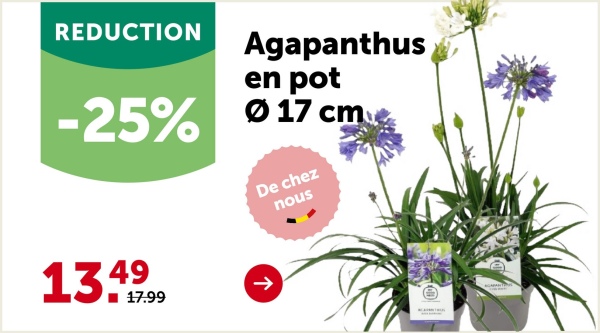 COMMENT BIEN ENTRETENIR SA PELOUSE? SUIVEZ NOS TUTOS !
Découvrez !
