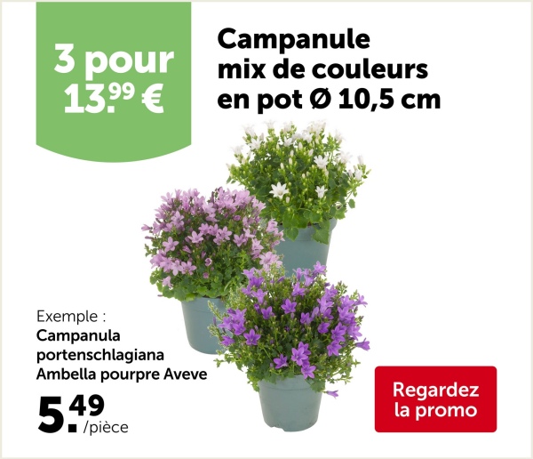 ÉLIMINER LES DÉPÔTS VERDÂTRES DE FAÇON EFFICACE? SUIVEZ LE TUTO VIDÉO!
Découvrez !