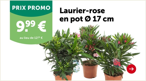 25%
DE RÉDUCTION
à partir de
2 pièces
Dalle à engazonner
- Dim. 60x40x12 cm
- La solution idéale pour une surface dure
sans perturber la croissance de l'herbe.
Sur commande.
Art. 255189
À partir de 2 pièces,
la pièce
8.29
6.22
25.92/
m²