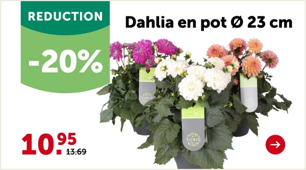 PROMO JARDIN
Valable jusqu'au 1er juin 2025
25%
DE RÉDUCTION
AVEC LA CARTE GAMMAPLUS
Dalle de terrasse Pietra
anthracite
- 2 dalles/emb.
- Dim. 60x60x2 cm
- Également disponible en gris
(moyennant supplément)
Gris sur commande.
Art. 545747
22.31
16.73
23.24/