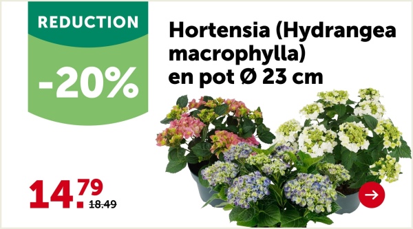 4+1
GRATUIT⭑*
Dalle de terrasse en béton
Dim. 40x40x3,7 cm
Gris, gris clair ou beige (moyennant supplément)
Articles combinables entre eux, 20% de réduction sur les
articles à l'achat de 5 pièces. Gris clair sur commande
ans certains magasins.
162335, 162336, 290783, 290780
À l'achat de
5 pièces, la pièce
3.99
3.19
19.94/
par 5 pièces maintenant 15.95