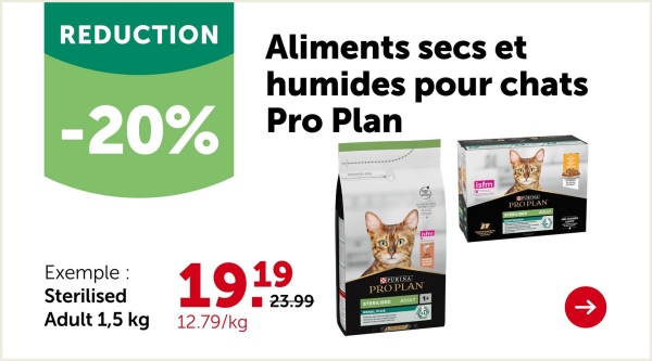 Gravier perle GAMMA 4/16
25 kg
À l'achat de 4 pièces,
la pièce 2.89 2.17 0.09/kg
par 4 pièces maintenant 8.68
Art. 221072